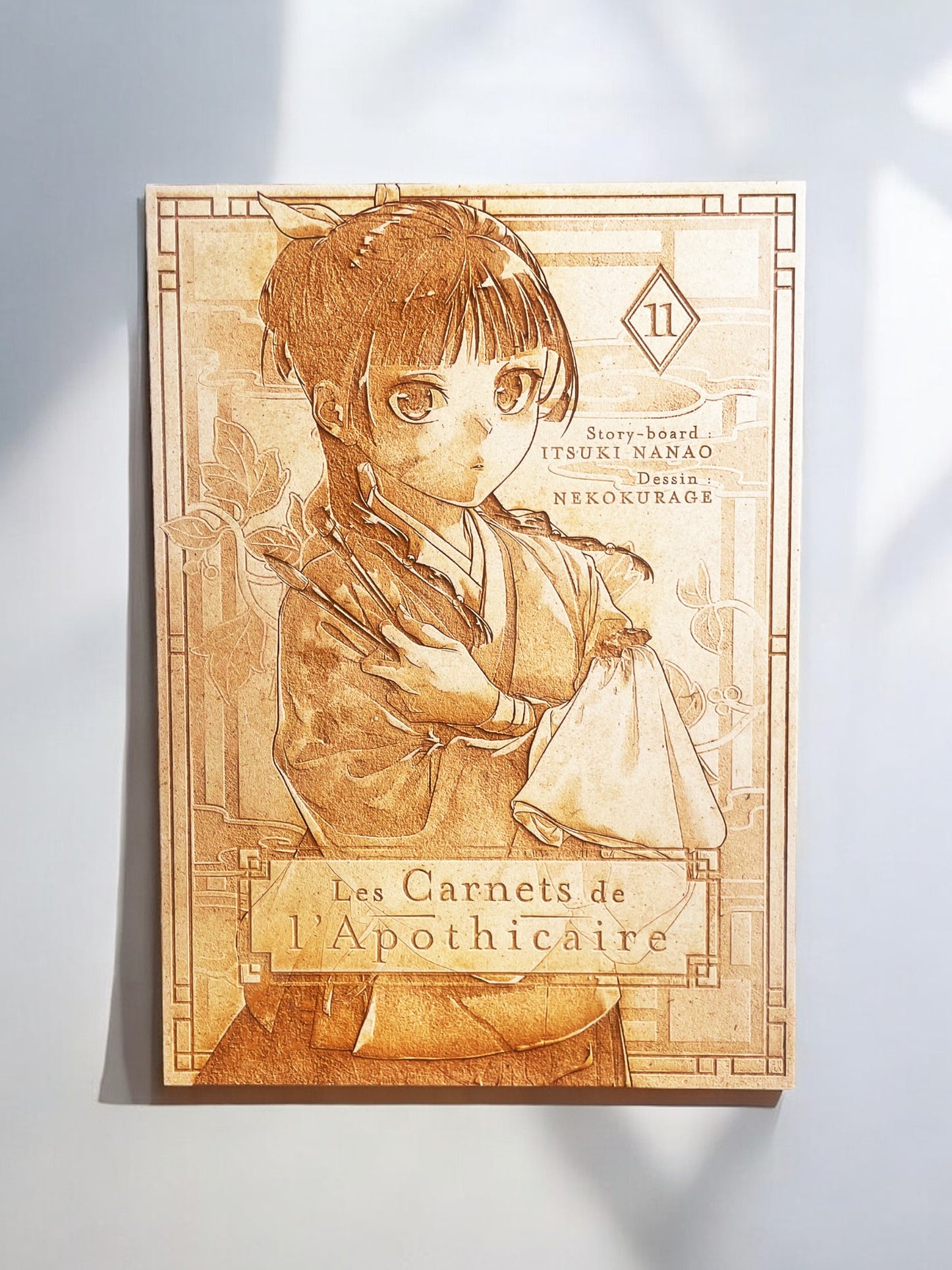 Les Carnets de l'Apothicaire Tome 11